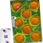 Seedless Persimmon | Wakayama Prefecture | M Size 8 Pcs
